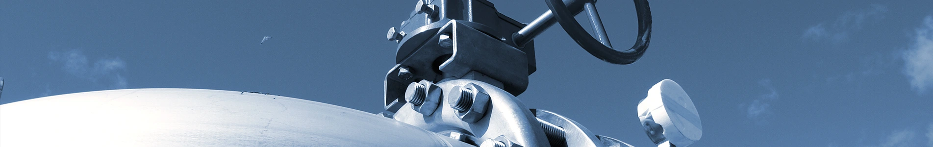 उत्पादों